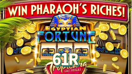 61R Aplicativo - 61R visual 2